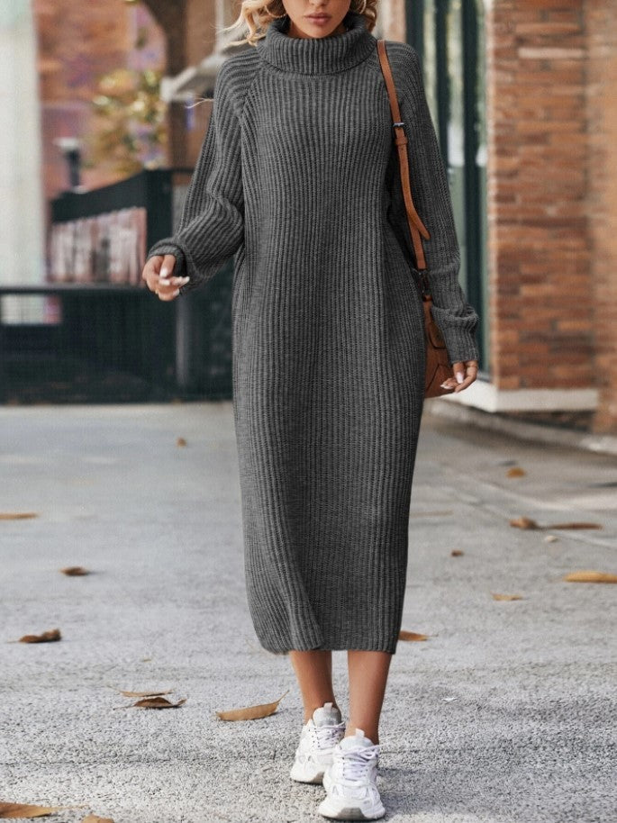 Turtleneck Dress
