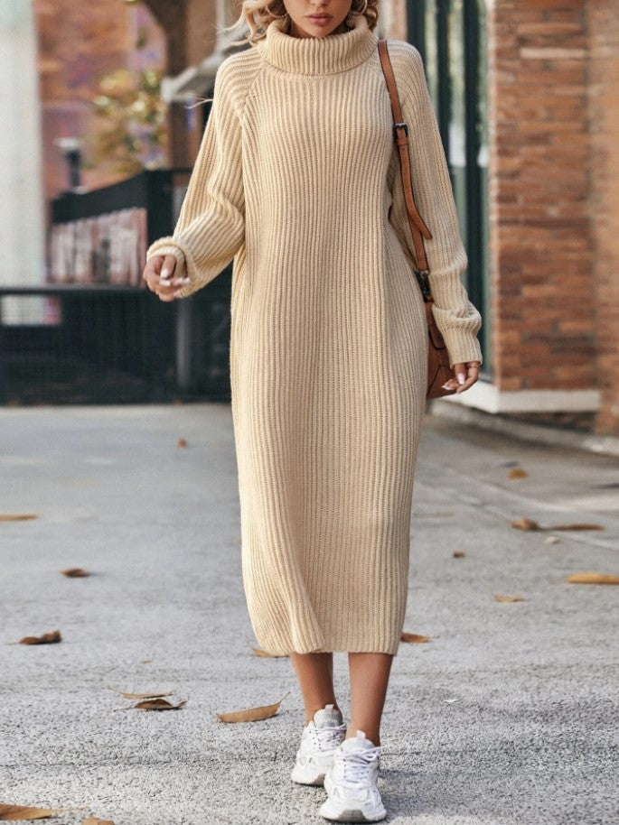 Turtleneck Dress